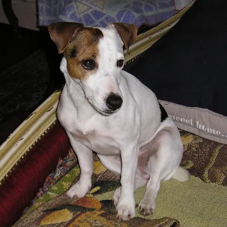 Du Commerce Et De Navarre Λούρδη